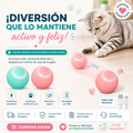 ❤️ Tu gato se divierte, incluso cuando no estás